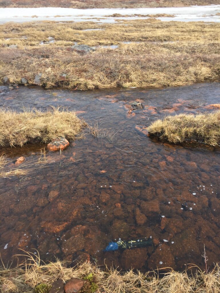 Tundra Stream and YSI